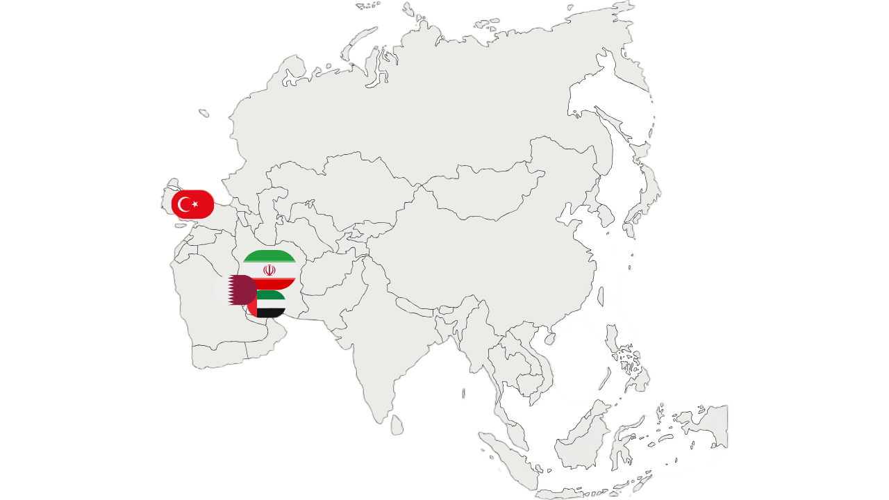 دیجیتال زرافه در دنیا