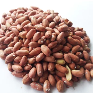 بادام زمینی آستان اشرفیه تازه