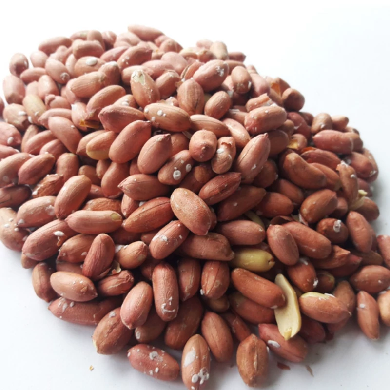 بادام زمینی آستان اشرفیه تازه