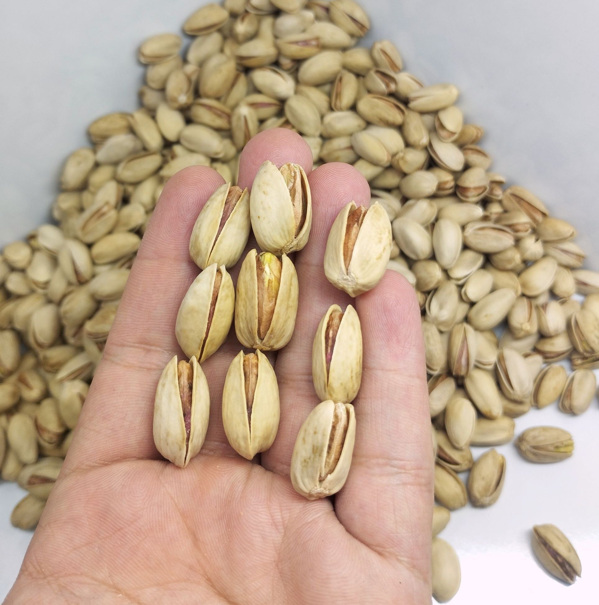 پسته درشت دستچین اکبری 250 گرم