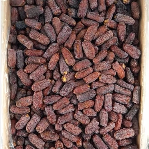 خرمای پیارم | خرمای پیارم درجه یک، تازه و نیمه خشک
